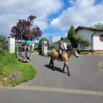 ファームステイ Landgut Pfauenhof - Landleben Geniessen Auf Dem Bio-reiterhof In Der Vulkaneifel