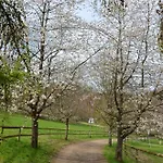 Landgut Pfauenhof - Landleben Geniessen Auf Dem Bio-reiterhof In Der Vulkaneifel ファームステイ Utzerath