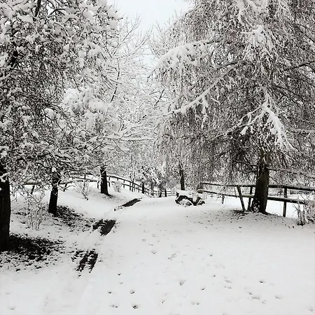 ファームステイ Landgut Pfauenhof - Landleben Geniessen Auf Dem Bio-reiterhof In Der Vulkaneifel *