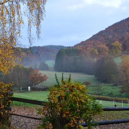 Landgut Pfauenhof - Landleben Geniessen Auf Dem Bio-reiterhof In Der Vulkaneifel Farm stay