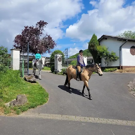 Farm stay Landgut Pfauenhof - Landleben Geniessen Auf Dem Bio-reiterhof In Der Vulkaneifel