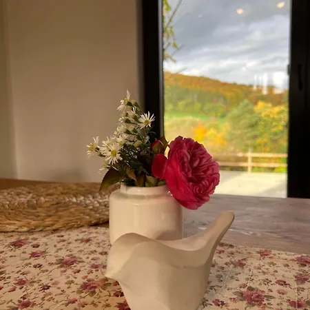 Landgut Pfauenhof - Landleben Geniessen Auf Dem Bio-reiterhof In Der Vulkaneifel Lantgård *