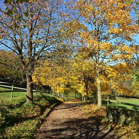 ファームステイ Landgut Pfauenhof - Landleben Geniessen Auf Dem Bio-reiterhof In Der Vulkaneifel *