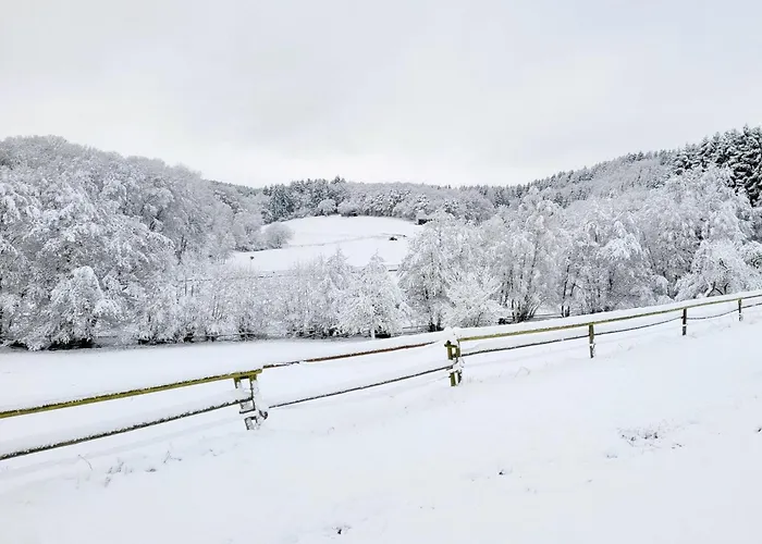 Landgut Pfauenhof - Landleben Geniessen Auf Dem Bio-reiterhof In Der Vulkaneifel בית חווה Utzerath