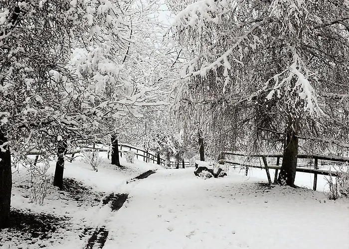 בית חווה Landgut Pfauenhof - Landleben Geniessen Auf Dem Bio-reiterhof In Der Vulkaneifel *