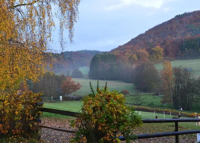 Landgut Pfauenhof - Landleben Geniessen Auf Dem Bio-reiterhof In Der Vulkaneifel בית חווה