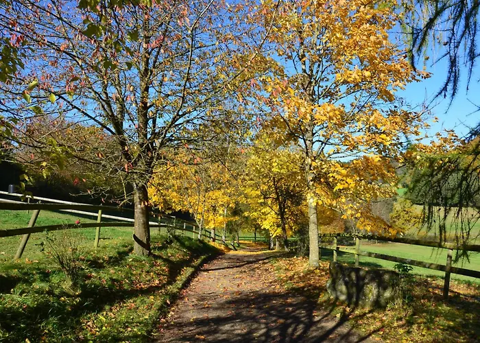 בית חווה Landgut Pfauenhof - Landleben Geniessen Auf Dem Bio-reiterhof In Der Vulkaneifel *