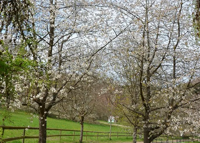 Landgut Pfauenhof - Landleben Geniessen Auf Dem Bio-reiterhof In Der Vulkaneifel בית חווה Utzerath